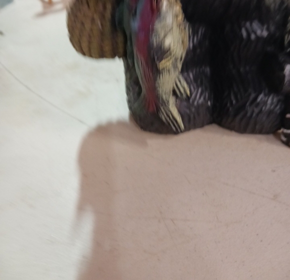 Charming Black Bear Figurine with Fishing Vest - Picture 4 of 5